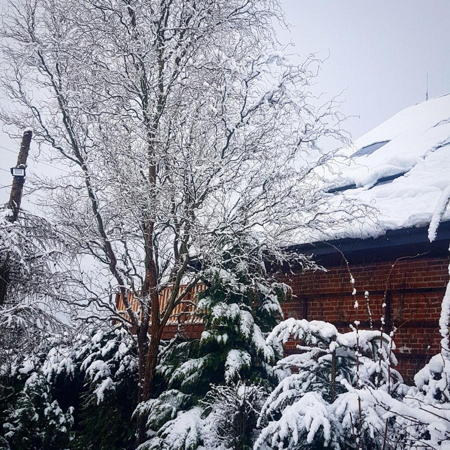 Dziewanna Daire Brzeziniec Dış mekan fotoğraf