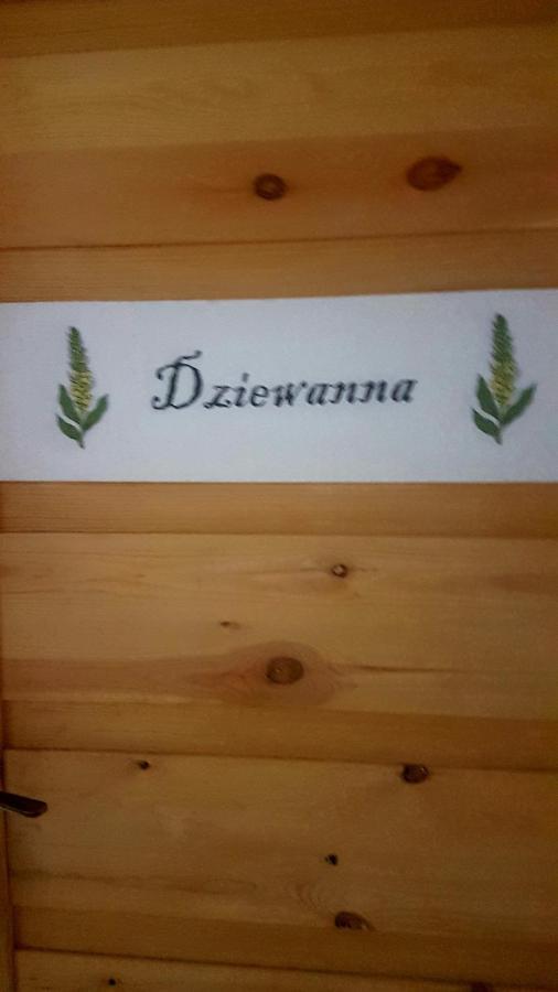Dziewanna Daire Brzeziniec Dış mekan fotoğraf