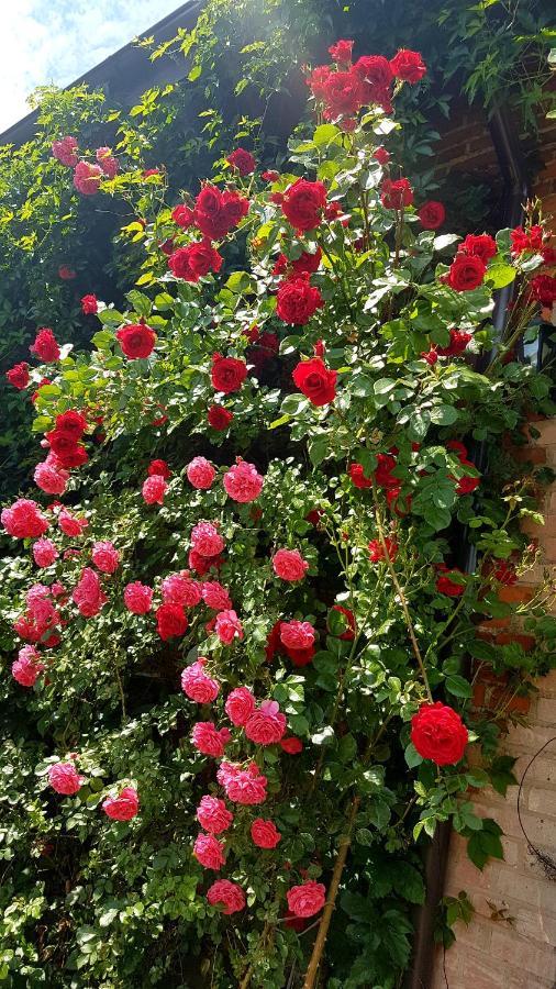 Dziewanna Daire Brzeziniec Dış mekan fotoğraf