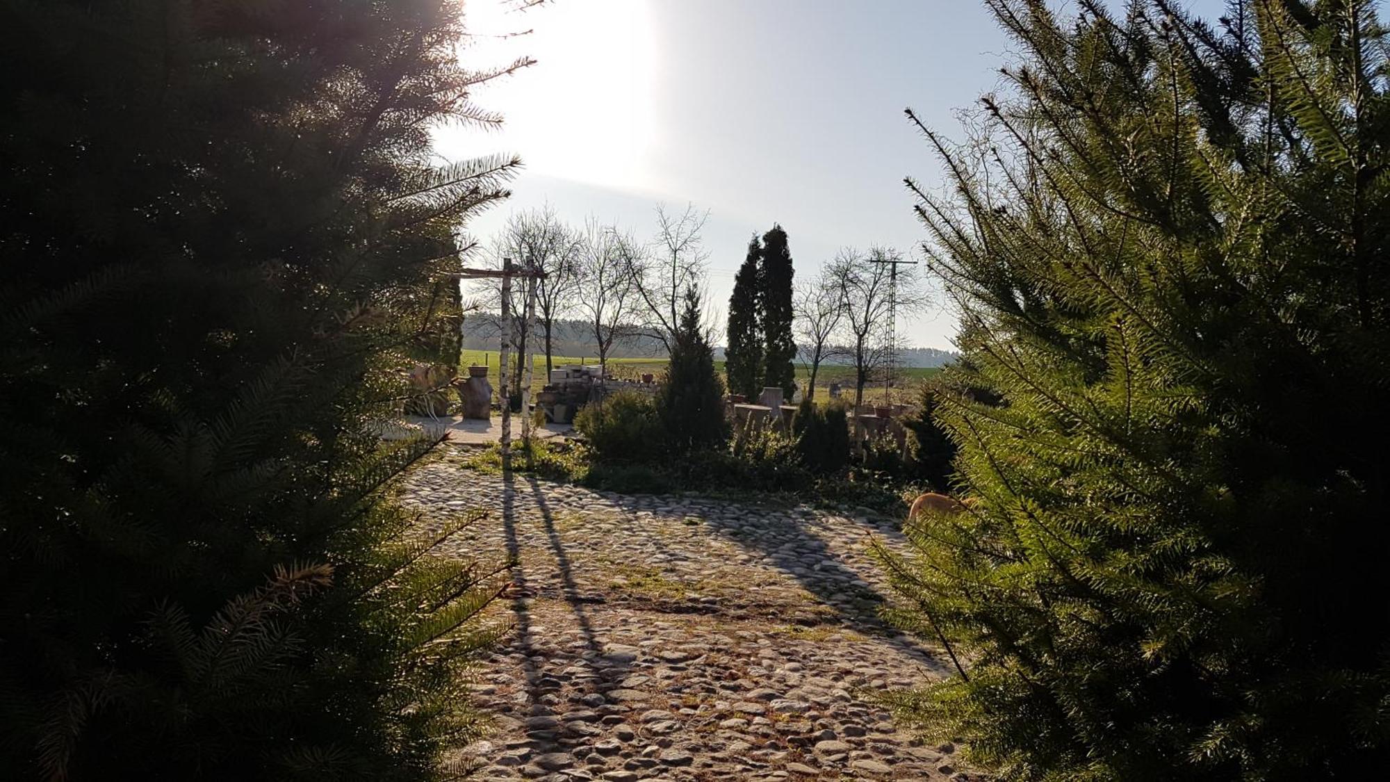 Dziewanna Daire Brzeziniec Dış mekan fotoğraf